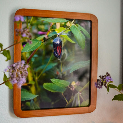 Summer Garden At Home No. 9 Print