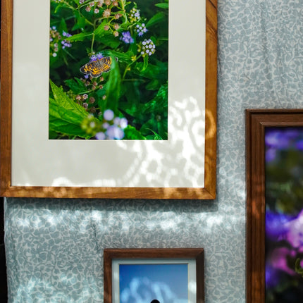 Summer Garden At Home No. 11 Print