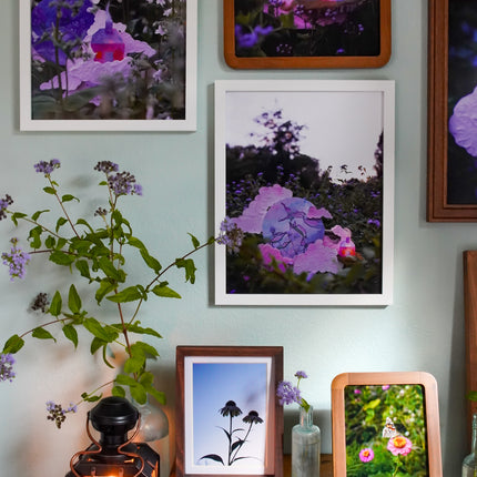 Summer Garden At Home No. 3 Print