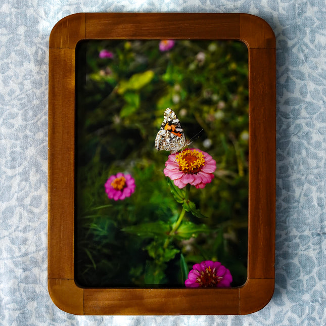 Summer Garden At Home No. 7 Print