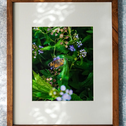 Summer Garden At Home No. 11 Print