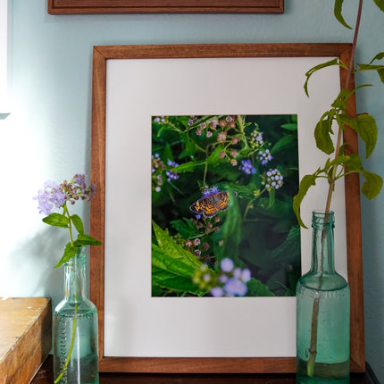 Summer Garden At Home No. 11 Print