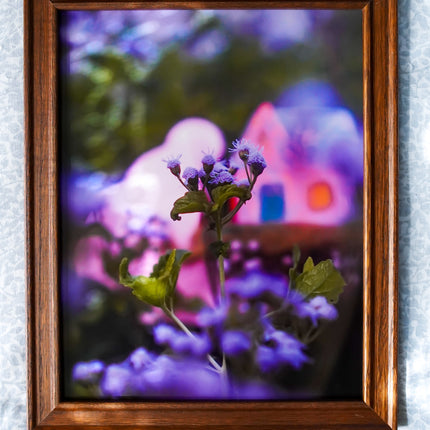 Summer Garden At Home No. 2 Print