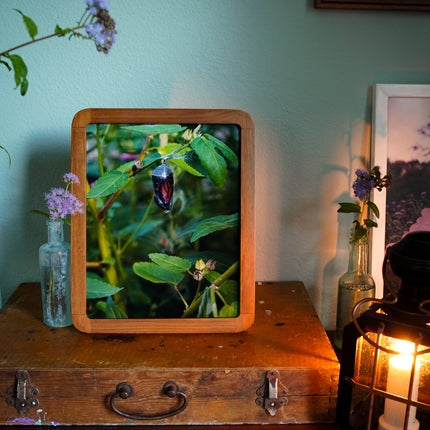 Summer Garden At Home No. 9 Print