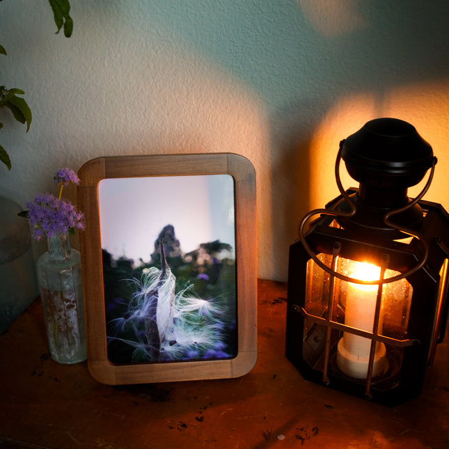 Summer Garden At Home No. 8 Print